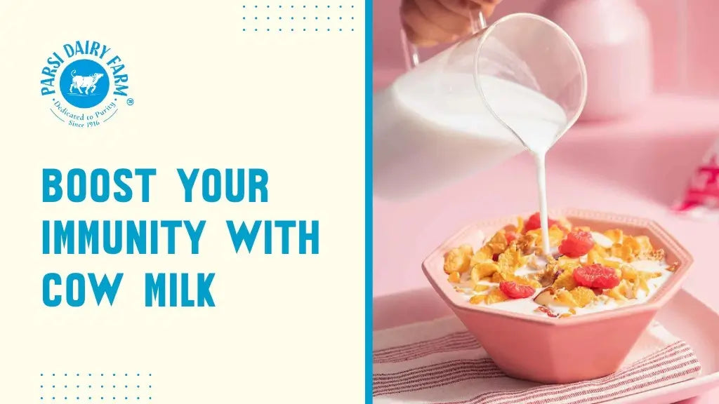 Boost Your Immunity with Cow Milk – Parsi Dairy Farm