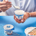 Classic Yogurt