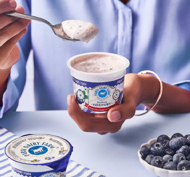 Blueberry Yoghurt