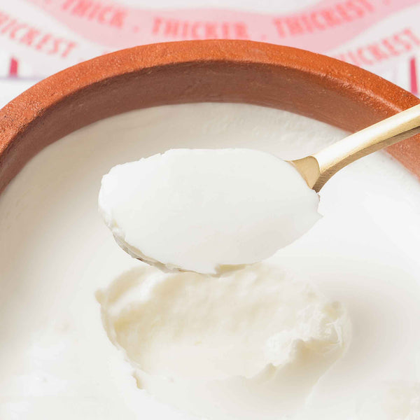Sweet Curd