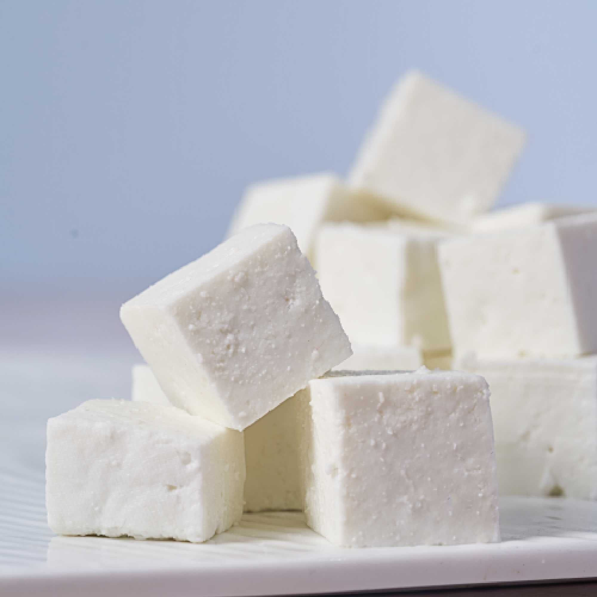 Karnavati Dairy - Pure Paneer (Indian Cottage Cheese)